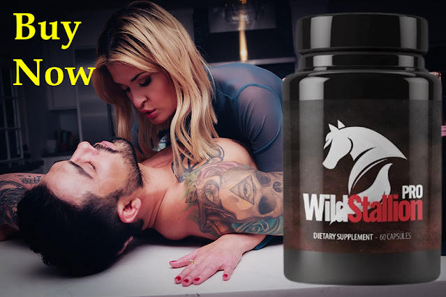 Wild Stallion Pro Unlock Your Full Sexual Potential and Thoroughly Satisfied Lover