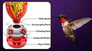 Flower Bird Feeder Sherem  Expert Alert What They Don’t Want you .